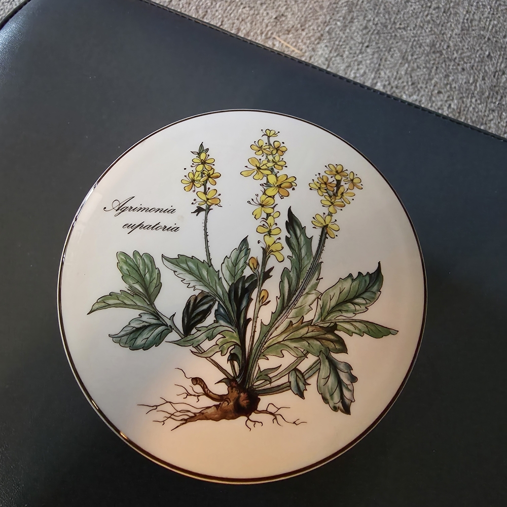 Villeroy & Boch Botanica Porcelain Plate/Vintage Villeroy & Boch Agrimonia